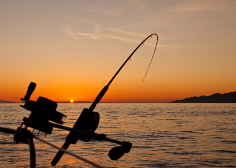 Things to know about before going on a fishing trip in Dubai